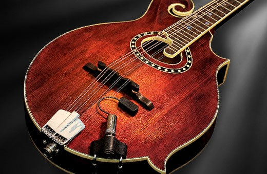 Mandolin Pickup